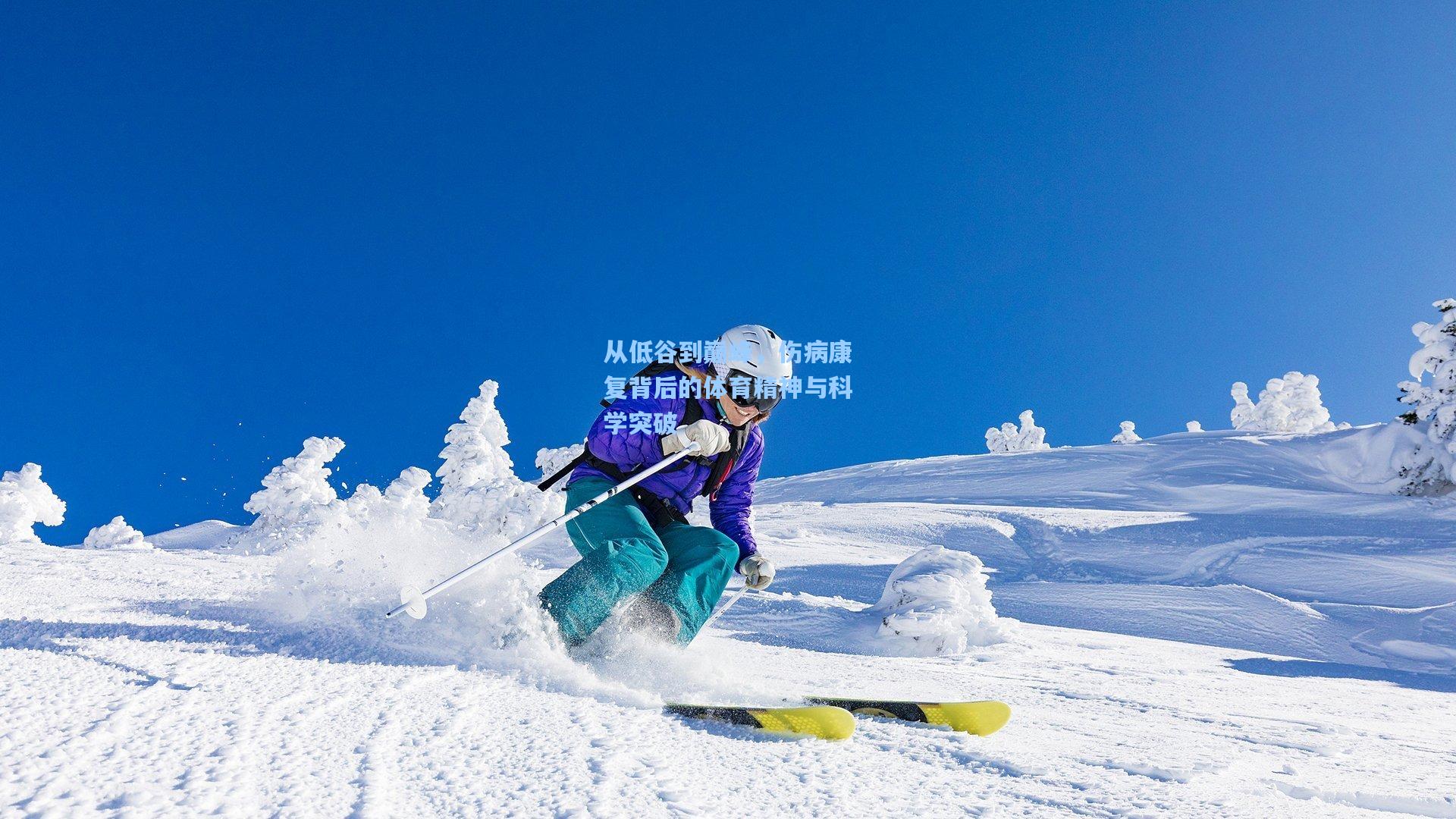 从低谷到巅峰，伤病康复背后的体育精神与科学突破