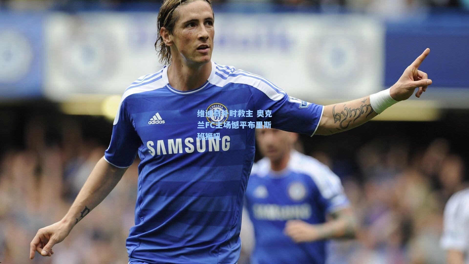 维迪奇补时救主 奥克兰FC主场憾平布里斯班狮吼