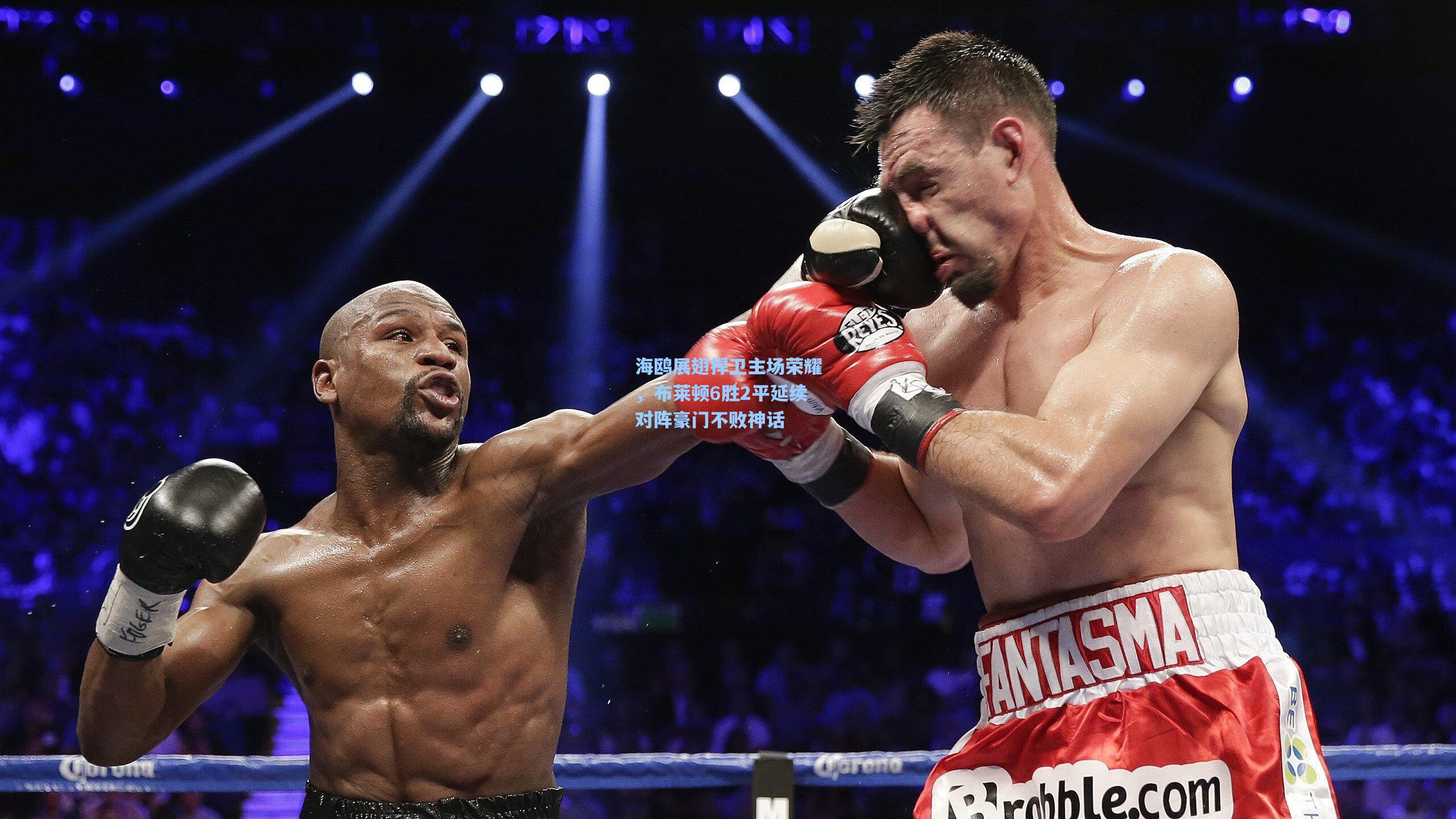 海鸥展翅捍卫主场荣耀,布莱顿6胜2平延续对阵豪门不败神话